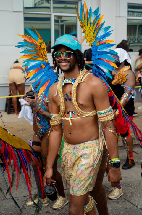 Image Not Found On Media Library