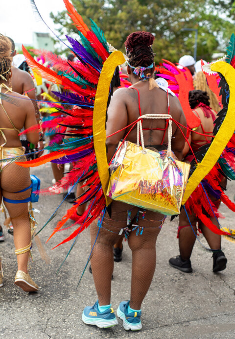 Image Not Found On Media Library