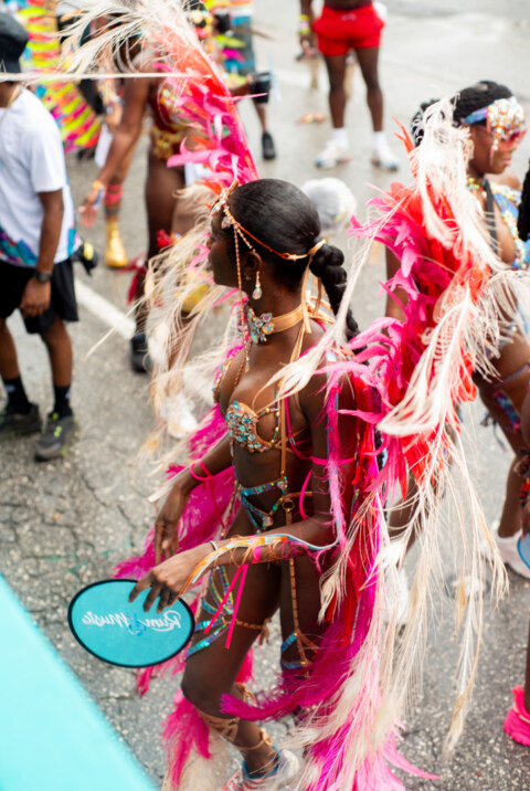 Image Not Found On Media Library