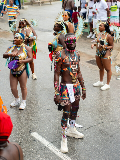 Image Not Found On Media Library