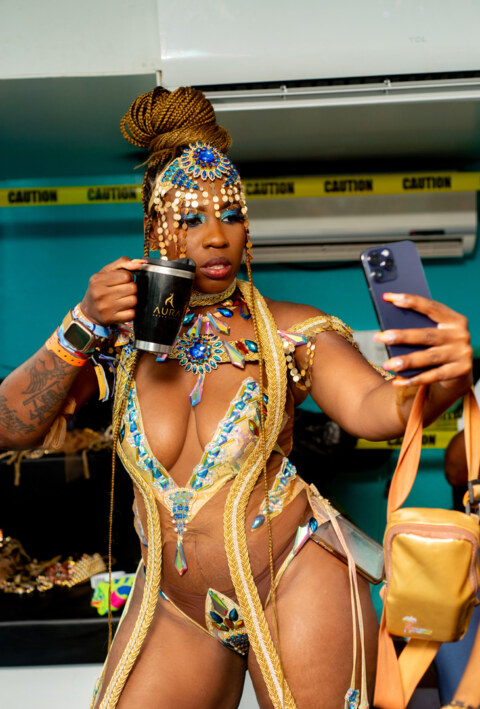 Image Not Found On Media Library