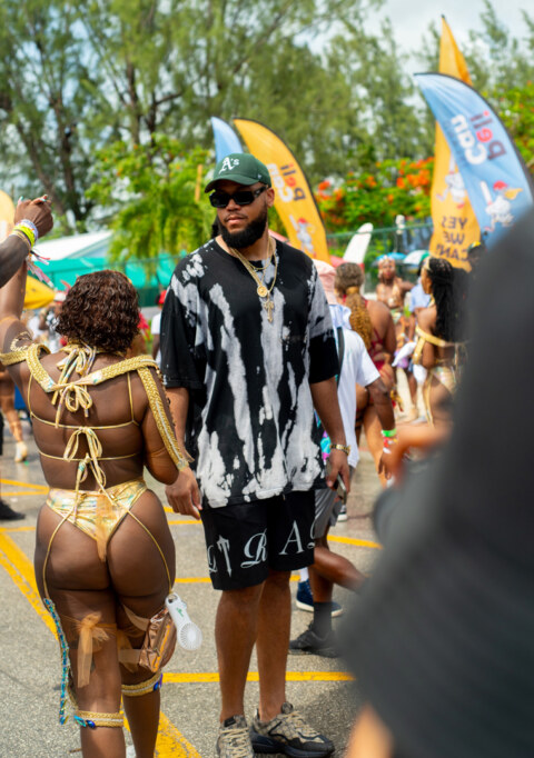 Image Not Found On Media Library