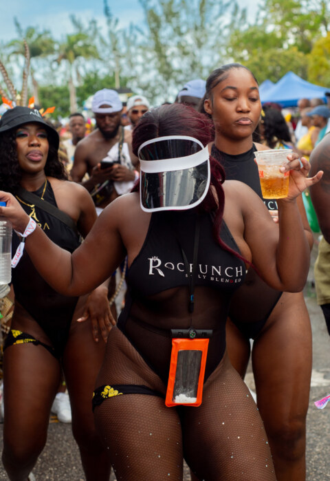 Image Not Found On Media Library