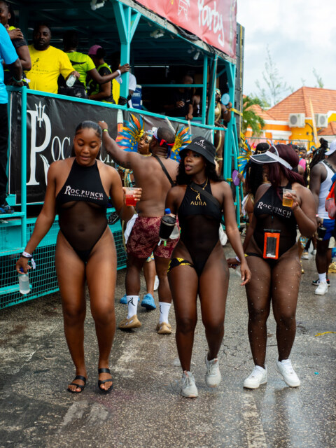 Image Not Found On Media Library