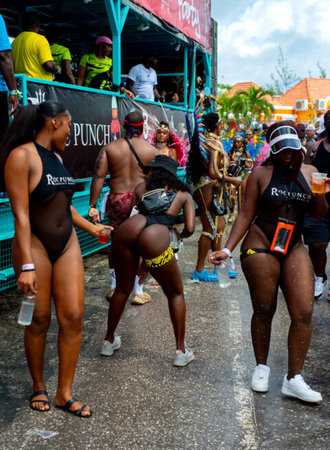 Image Not Found On Media Library