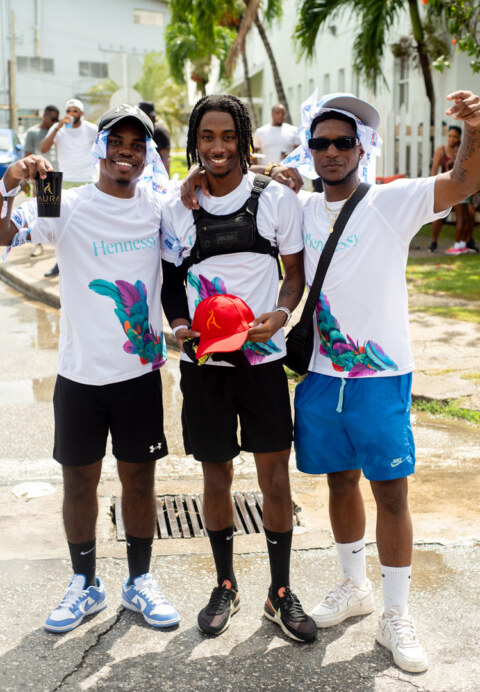 Image Not Found On Media Library