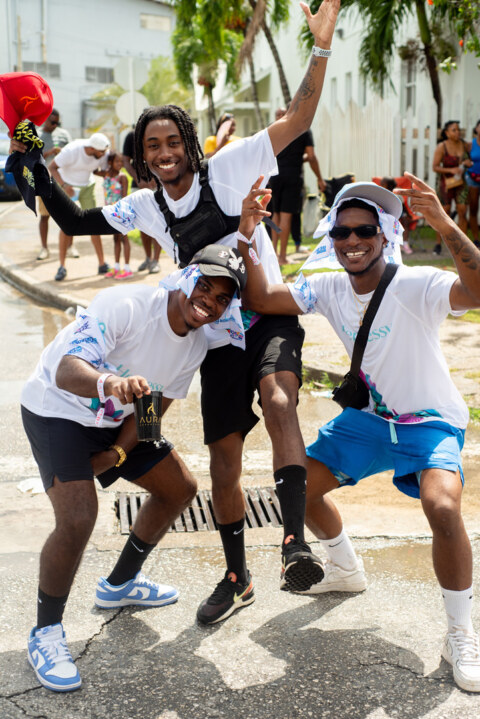 Image Not Found On Media Library