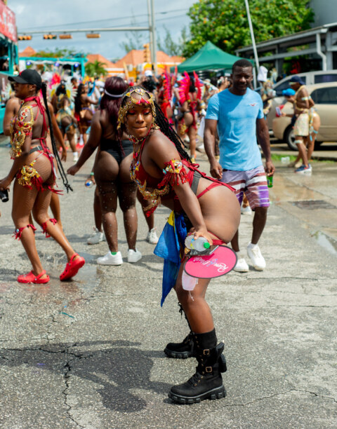 Image Not Found On Media Library