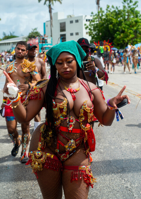 Image Not Found On Media Library