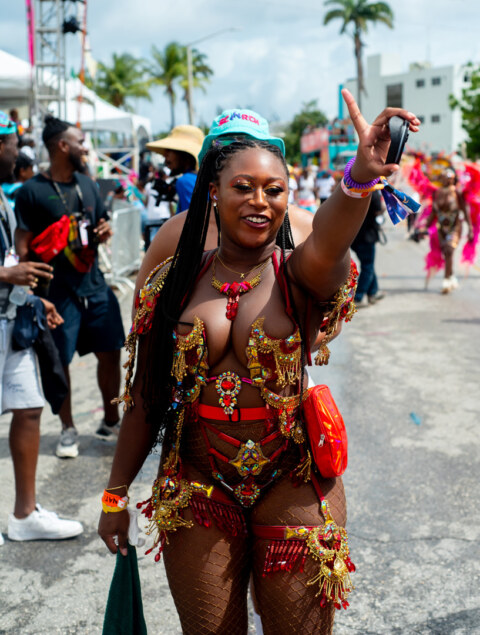 Image Not Found On Media Library