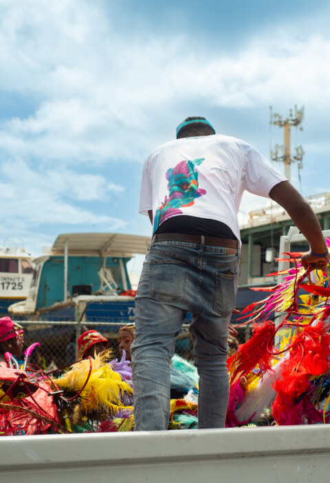 Image Not Found On Media Library