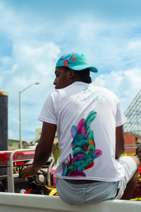 Image Not Found On Media Library