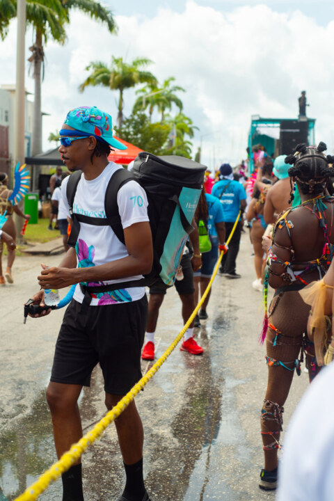 Image Not Found On Media Library