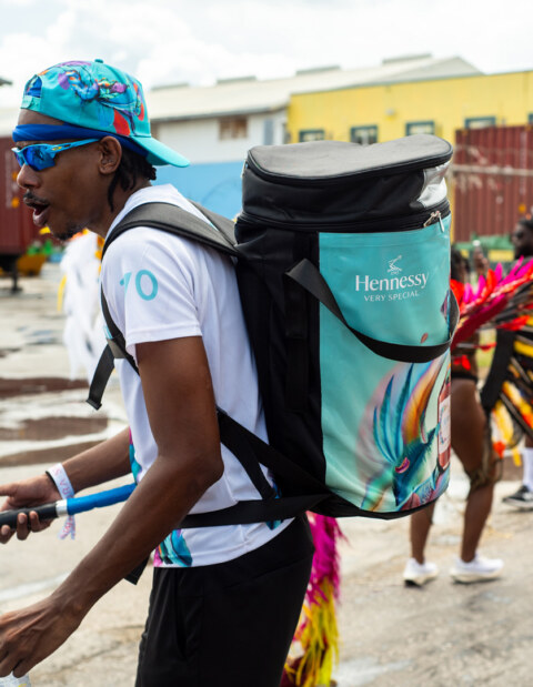 Image Not Found On Media Library