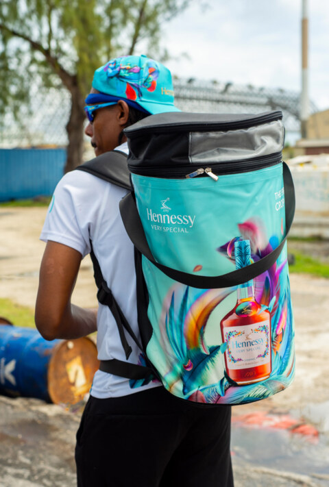 Image Not Found On Media Library