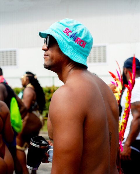 Image Not Found On Media Library