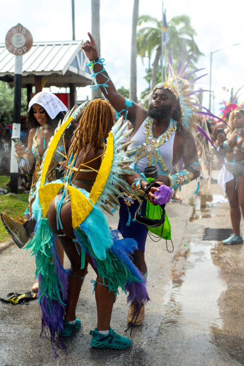 Image Not Found On Media Library