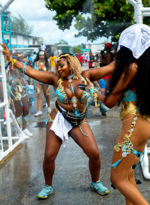 Image Not Found On Media Library