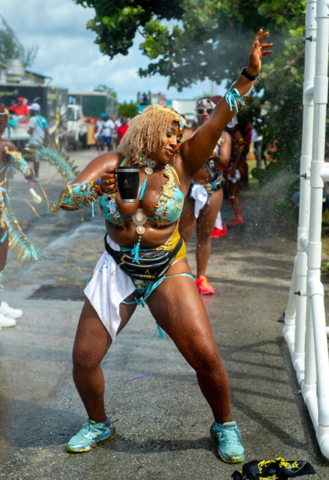 Image Not Found On Media Library