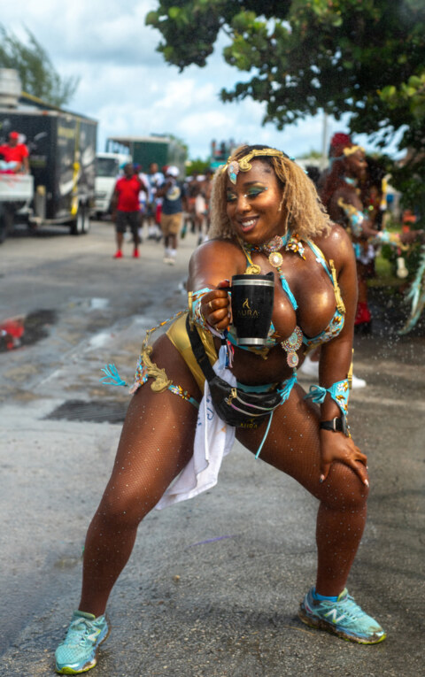 Image Not Found On Media Library