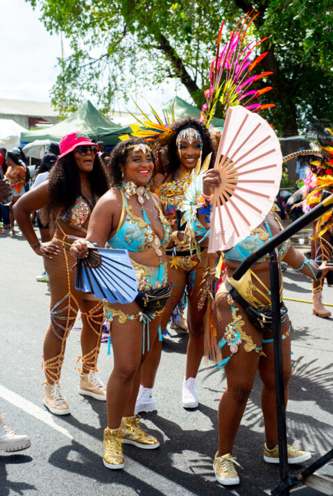 Image Not Found On Media Library