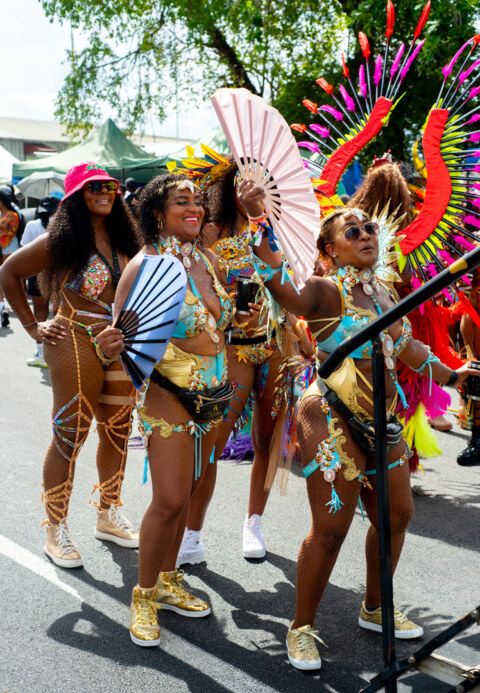 Image Not Found On Media Library