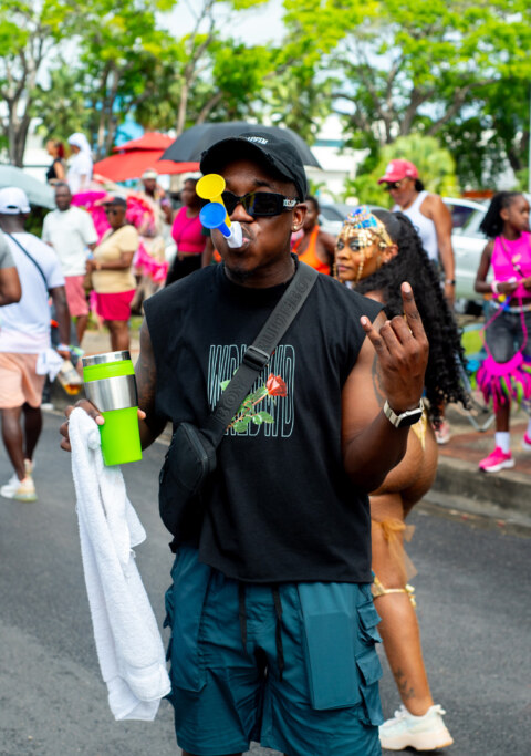 Image Not Found On Media Library