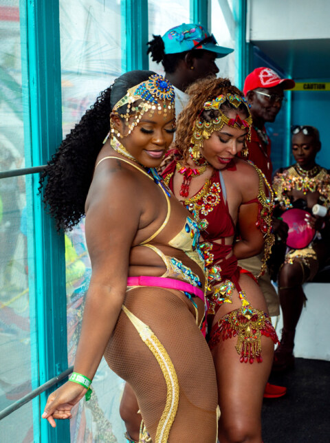 Image Not Found On Media Library