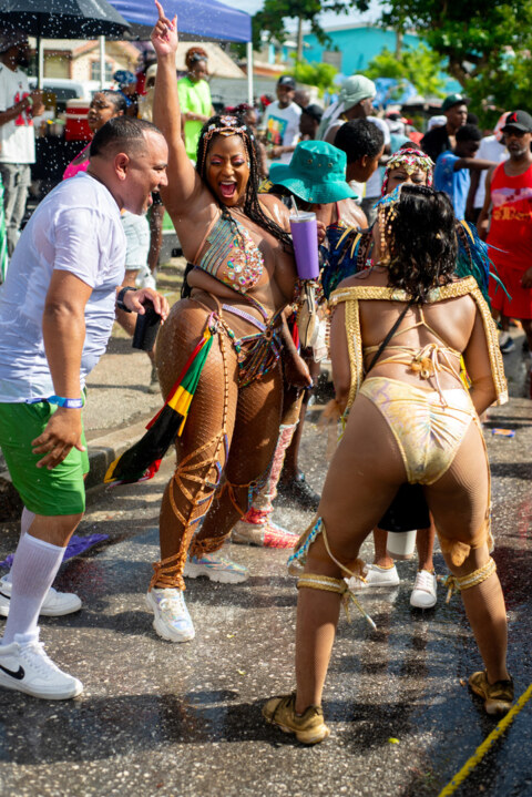 Image Not Found On Media Library