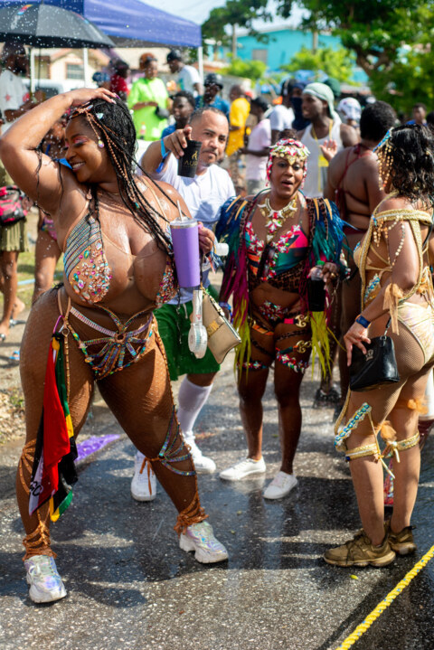 Image Not Found On Media Library