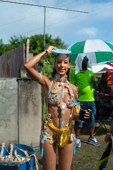 Image Not Found On Media Library