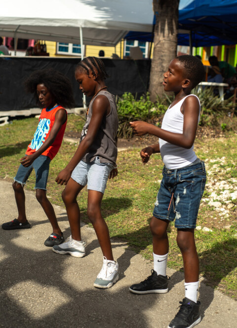 Image Not Found On Media Library