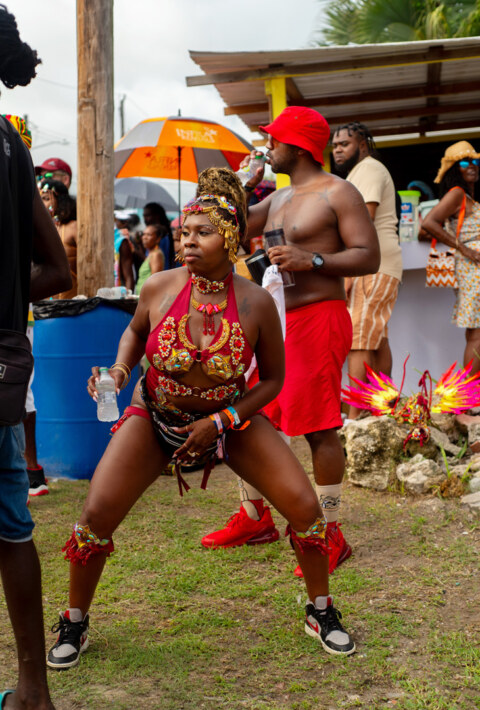 Image Not Found On Media Library