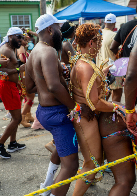 Image Not Found On Media Library