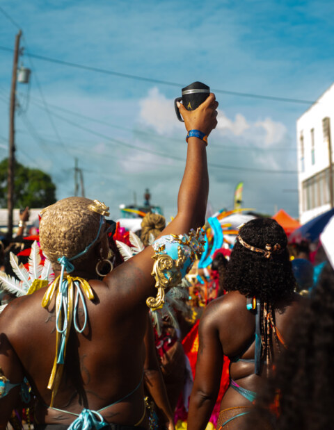 Image Not Found On Media Library