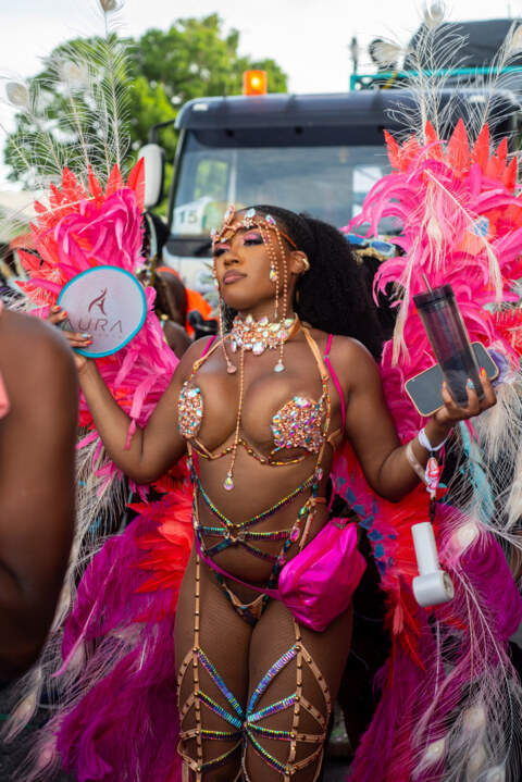 Image Not Found On Media Library