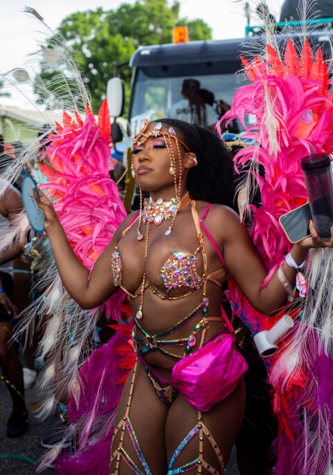 Image Not Found On Media Library