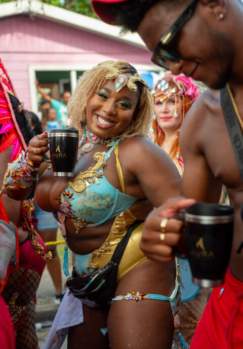 Image Not Found On Media Library