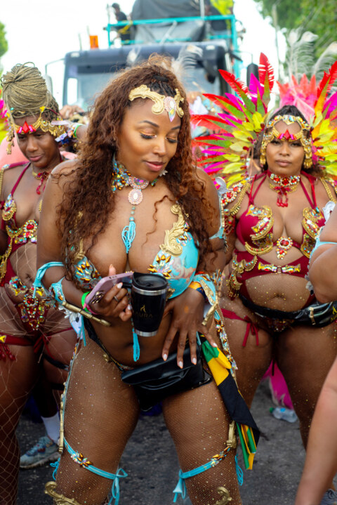 Image Not Found On Media Library