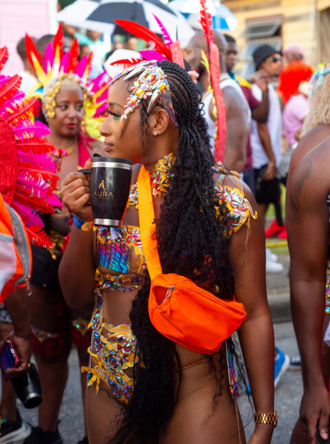 Image Not Found On Media Library