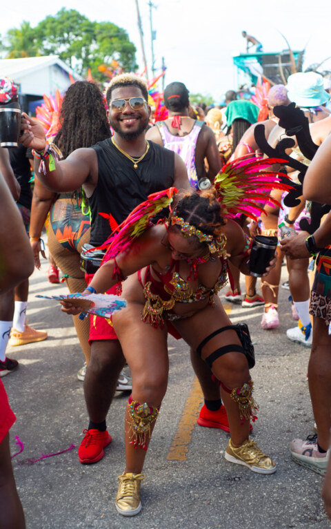 Image Not Found On Media Library