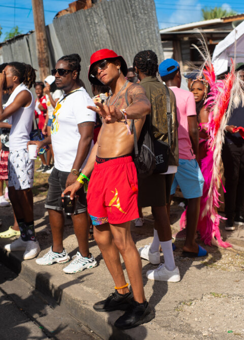 Image Not Found On Media Library