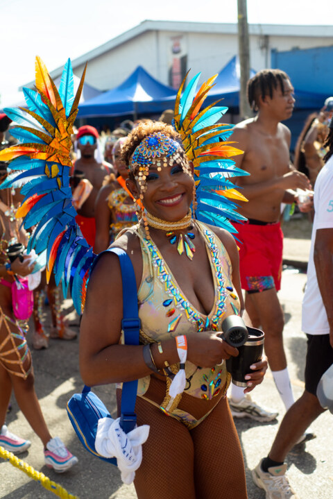 Image Not Found On Media Library