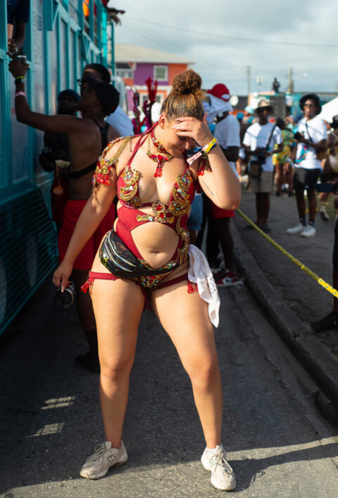 Image Not Found On Media Library