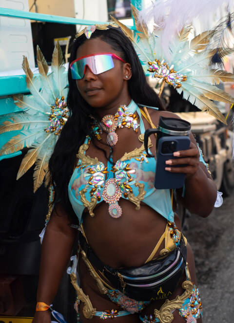 Image Not Found On Media Library