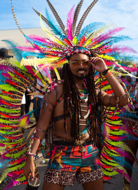 Image Not Found On Media Library