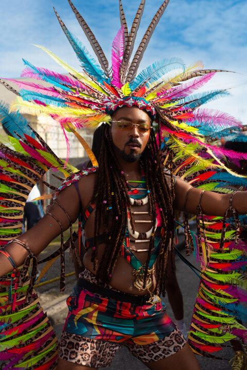 Image Not Found On Media Library