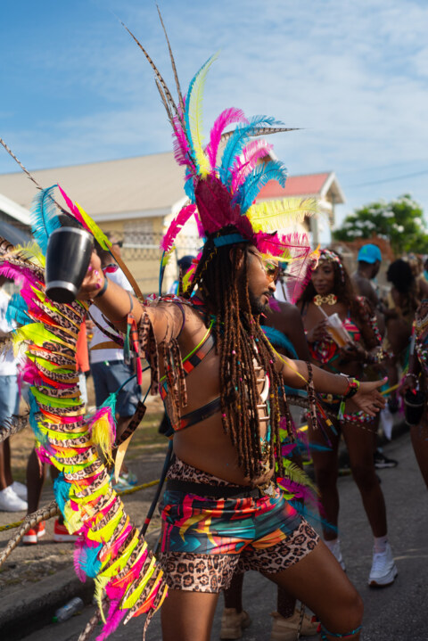 Image Not Found On Media Library