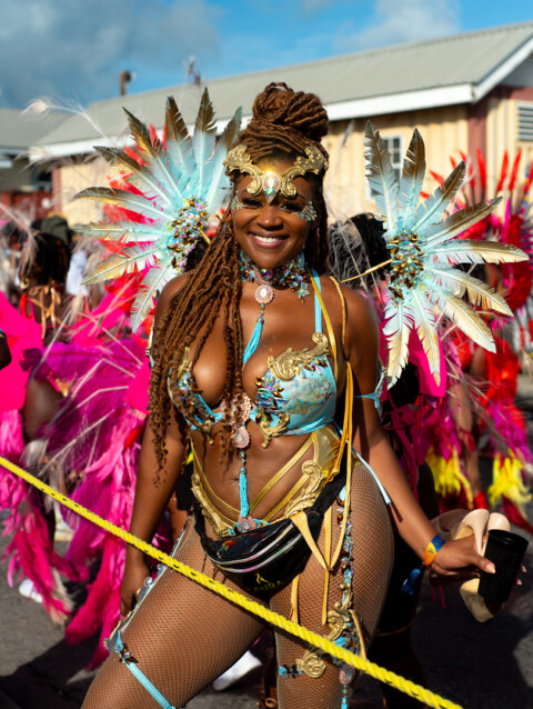 Image Not Found On Media Library