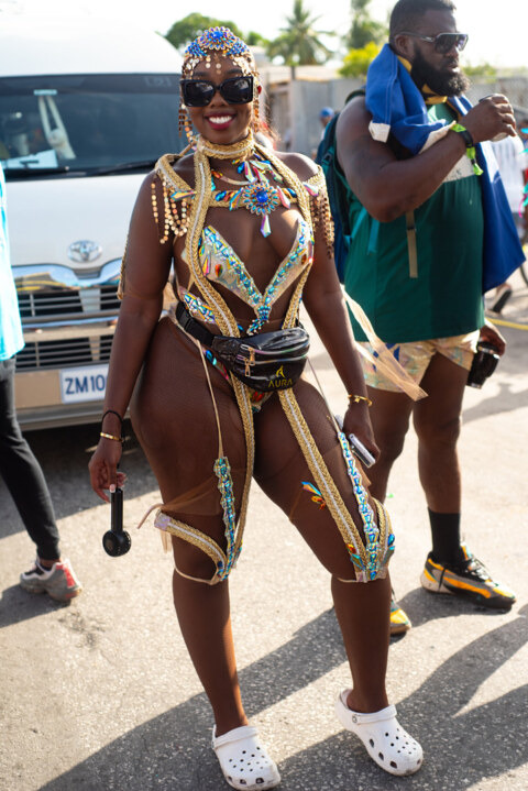 Image Not Found On Media Library